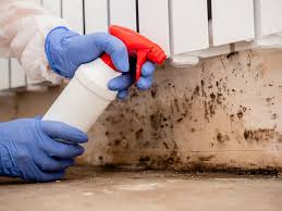 Best Mold Removal for HVAC Installations  in Cookeville, TN